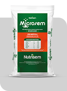 MICROSEM