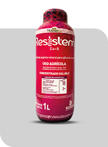 RESISTEM