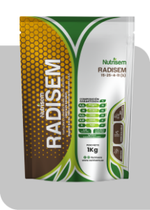 RADISEM